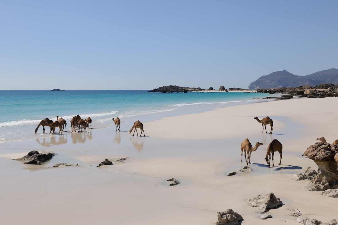 Oman : comment le visiter ?